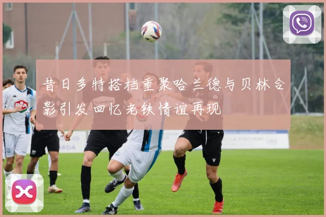 昔日多特搭档重聚哈兰德与贝林合影引发回忆老铁情谊再现