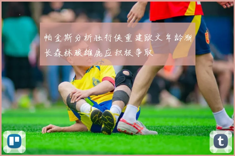 帕金斯分析独行侠重建欧文年龄渐长森林狼雄鹿应积极争取